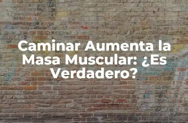 Caminar Aumenta la Masa Muscular: ¿es Verdadero?