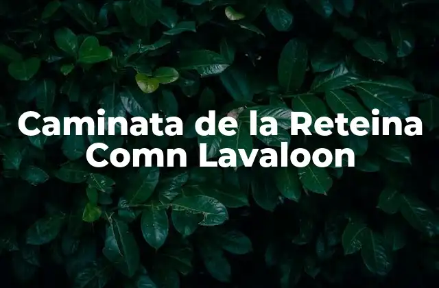 ¿Qué es la caminata de la Reteina Comn Lavaloon?