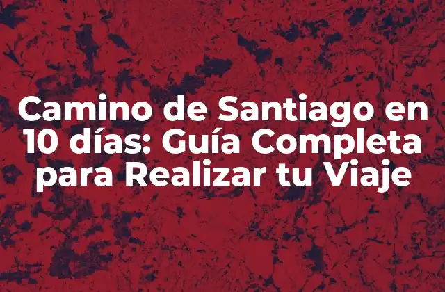 Camino de Santiago en 10 Días: Guía Completa para Realizar Tu Viaje