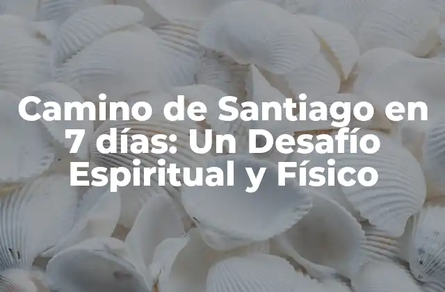 Camino de Santiago en 7 Días: un Desafío Espiritual y Físico