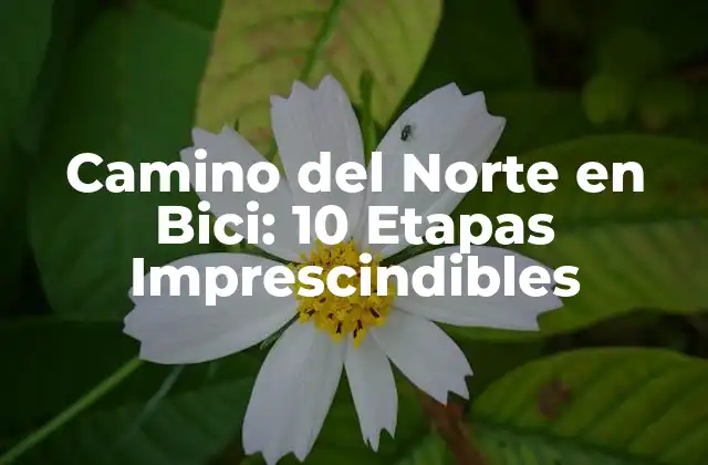 Camino Del Norte en Bici: 10 Etapas Imprescindibles