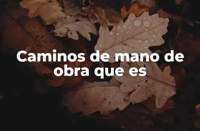 Caminos de Mano de Obra que es