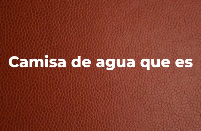 Camisa de Agua que es