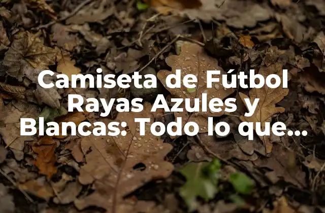 Camiseta de Fútbol Rayas Azules y Blancas: Todo Lo que Necesitas Saber
