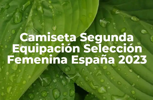 Camiseta Segunda Equipación Selección Femenina España 2023