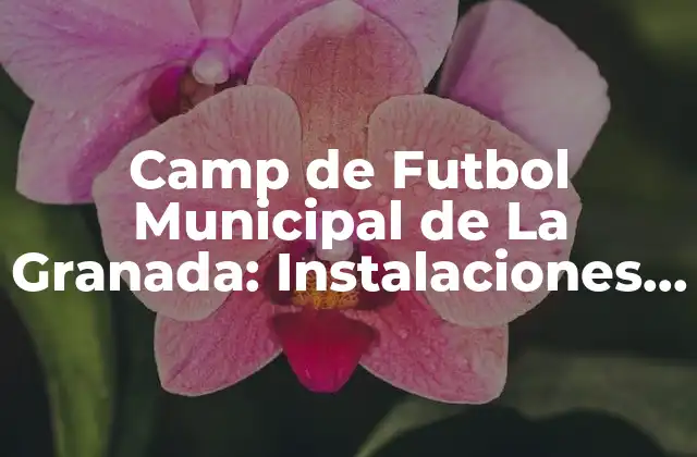 Camp de Futbol Municipal de la Granada: Instalaciones Deportivas de Alto Nivel