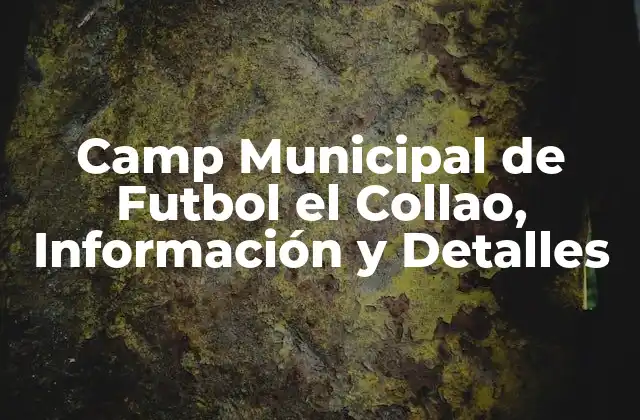 Camp Municipal de Futbol el Collao, Información y Detalles