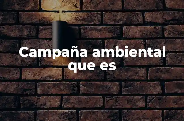 Campaña Ambiental que es