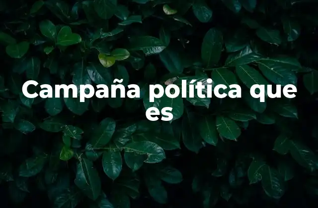 Campaña Política que es