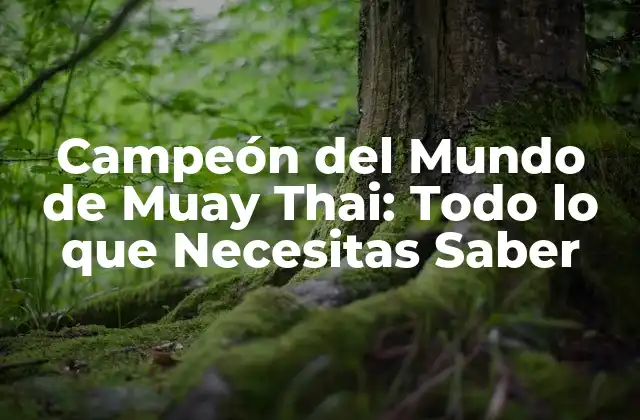 Campeón Del Mundo de Muay Thai: Todo Lo que Necesitas Saber