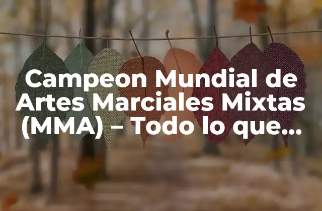 Campeon Mundial de Artes Marciales Mixtas (mma) – Todo Lo que Debes Saber