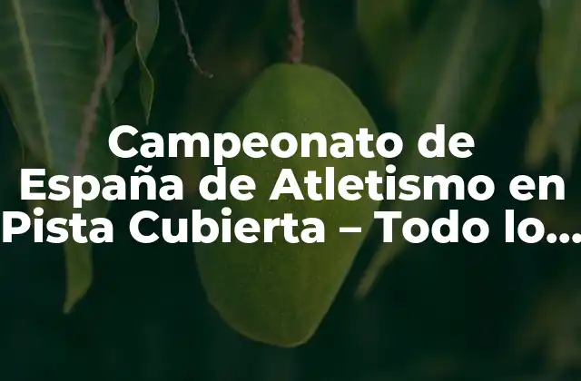Campeonato de España de Atletismo en Pista Cubierta – Todo Lo que Necesitas Saber