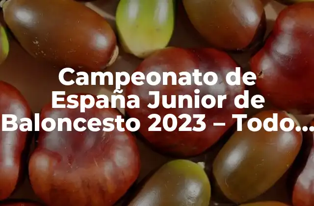 Campeonato de España Junior de Baloncesto 2023 – Todo Lo que Necesitas Saber