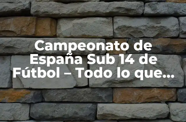 Campeonato de España Sub 14 de Fútbol – Todo Lo que Debes Saber