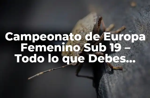 Campeonato de Europa Femenino Sub 19 – Todo Lo que Debes Saber
