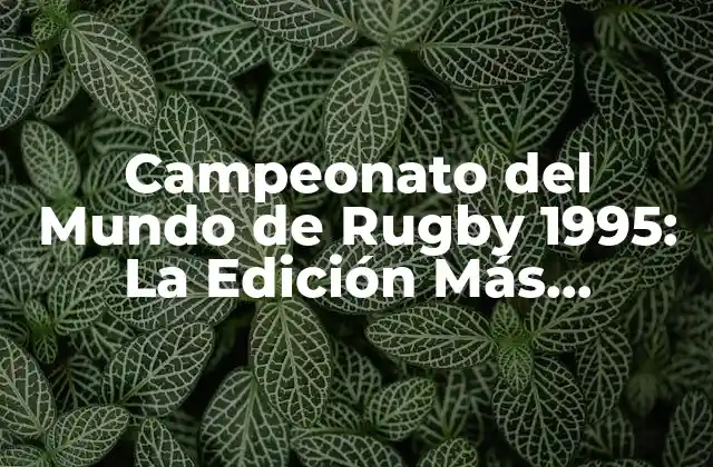 Campeonato Del Mundo de Rugby 1995: la Edición Más Emocionante de la Historia