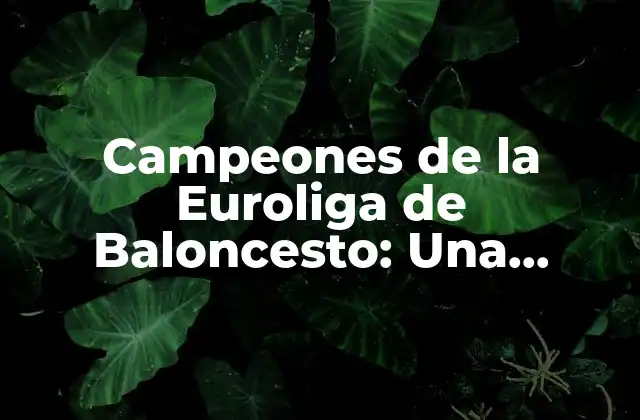 Campeones de la Euroliga de Baloncesto: una Historia de Éxitos