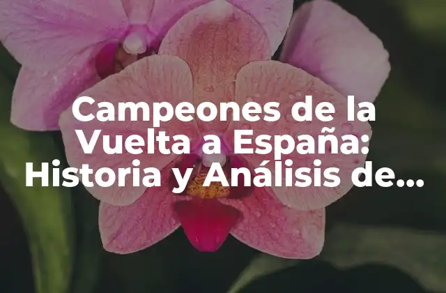 Campeones de la Vuelta a España: Historia y Análisis de los Ganadores