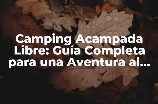 Camping Acampada Libre: Guía Completa para una Aventura Al Aire Libre 2 Ventajas del Camping Acampada Libre