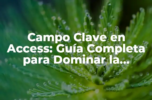 Campo Clave en Access: Guía Completa para Dominar la Creación de Campos Clave