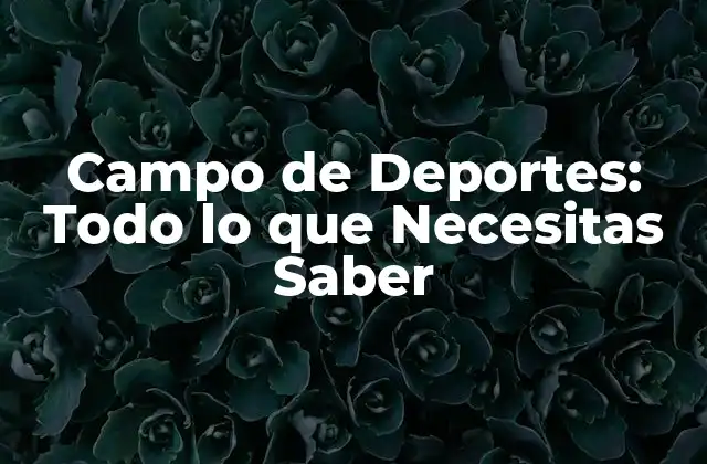 Campo de Deportes: Todo Lo que Necesitas Saber