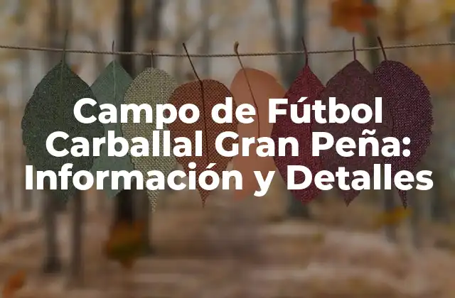 Campo de Fútbol Carballal Gran Peña: Información y Detalles