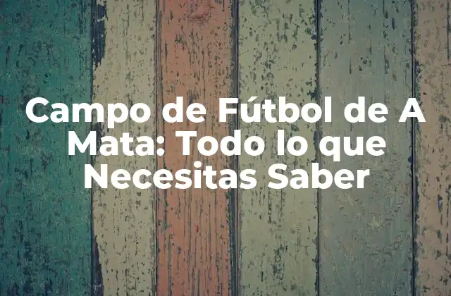 Campo de Fútbol de a Mata: Todo Lo que Necesitas Saber