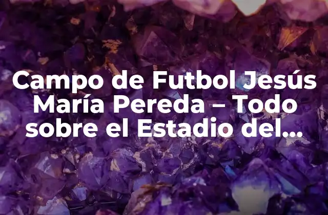 Campo de Futbol Jesús María Pereda – Todo sobre el Estadio Del Deportivo Alavés