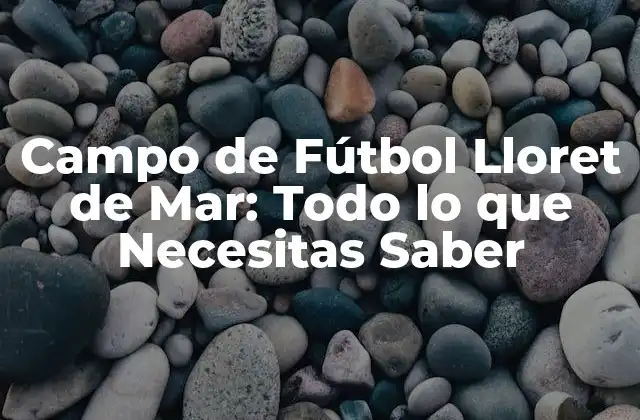 Campo de Fútbol Lloret de Mar: Todo Lo que Necesitas Saber