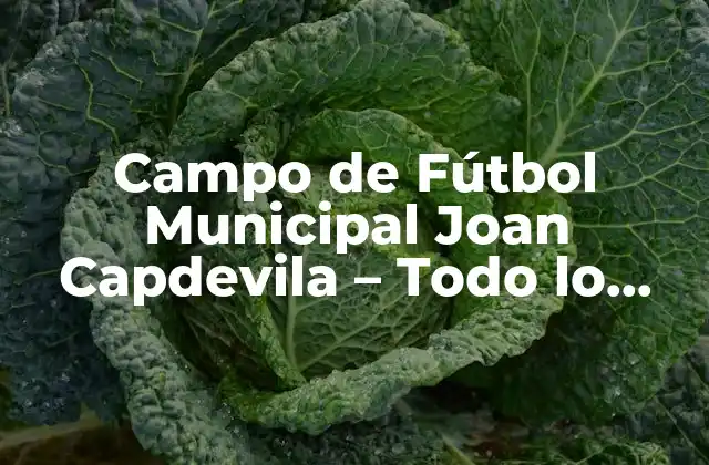 Campo de Fútbol Municipal Joan Capdevila – Todo Lo que Debes Saber