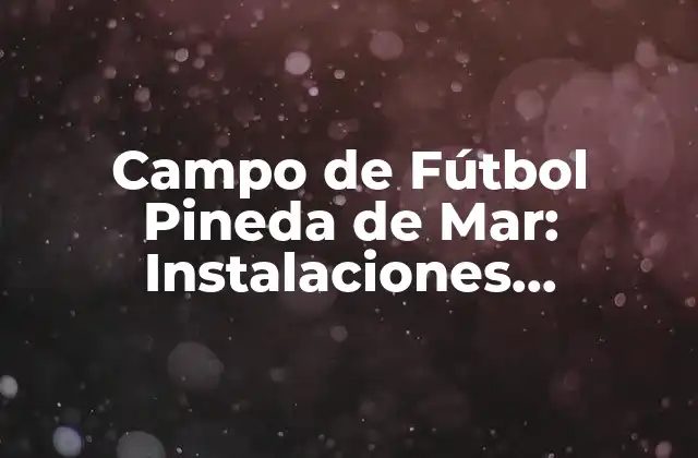 Campo de Fútbol Pineda de Mar: Instalaciones Deportivas en la Costa de Barcelona