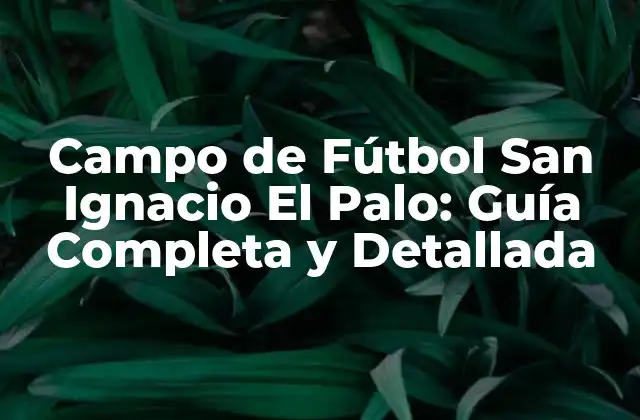 Campo de Fútbol San Ignacio el Palo: Guía Completa y Detallada