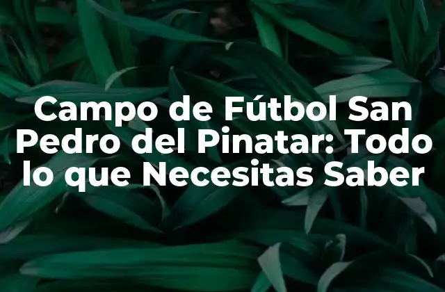 Campo de Fútbol San Pedro Del Pinatar: Todo Lo que Necesitas Saber