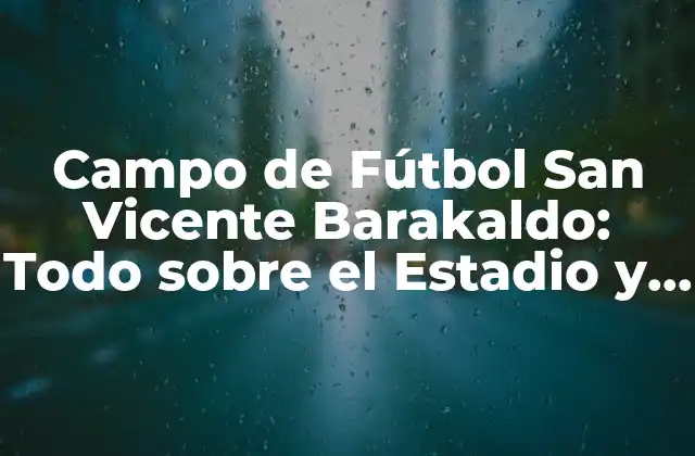 Campo de Fútbol San Vicente Barakaldo: Todo sobre el Estadio y Su Historia
