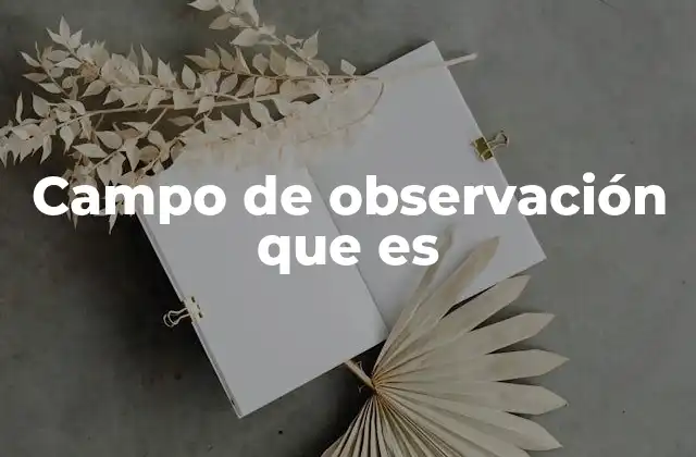 Campo de Observación que es