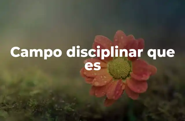 Campo Disciplinar que es