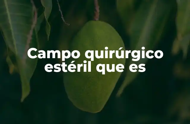 Campo Quirúrgico Estéril que es