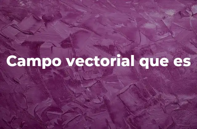 Campo Vectorial que es