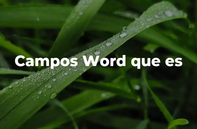 Campos Word que es
