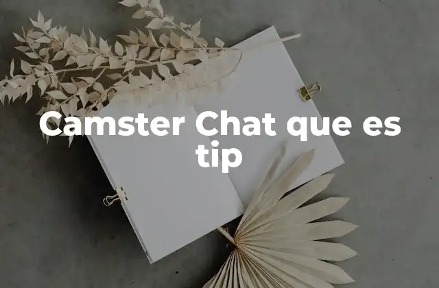 Camster Chat que es Tip