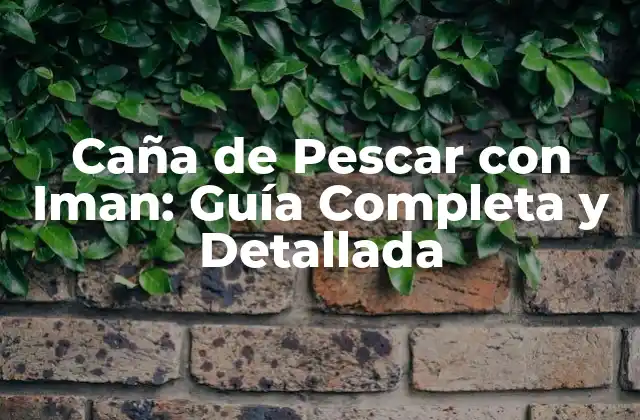 Caña de Pescar con Iman: Guía Completa y Detallada 2 ¿Cómo Funciona la Caña de Pescar con Iman?