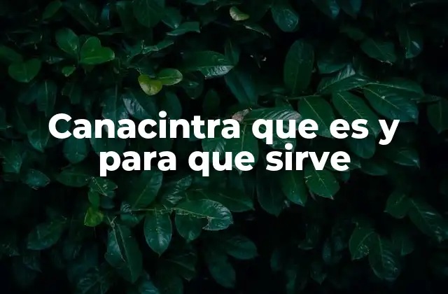 Canacintra que es y para que Sirve