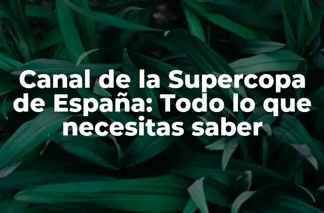 Canal de la Supercopa de España: Todo Lo que Necesitas Saber