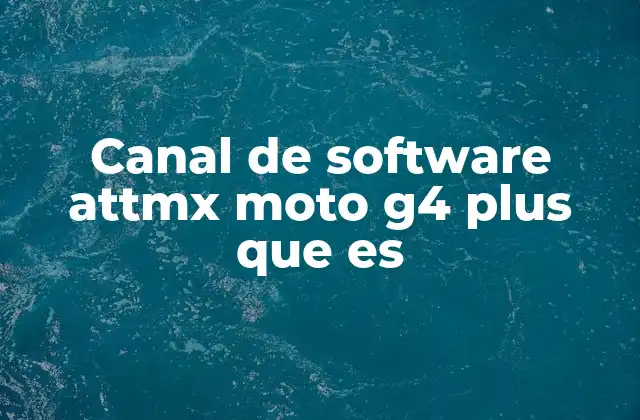 Funcionalidades del canal de software ATTMX