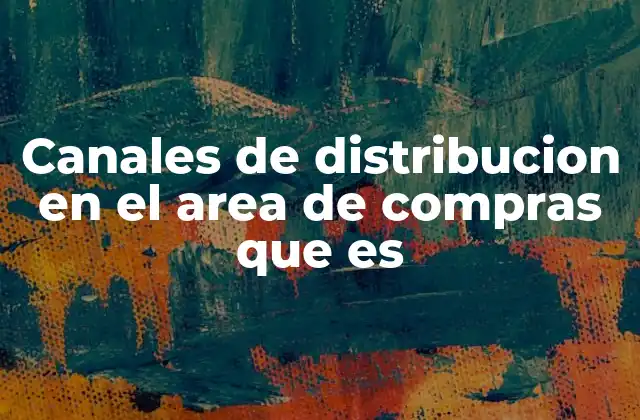 Canales de Distribucion en el Area de Compras que es