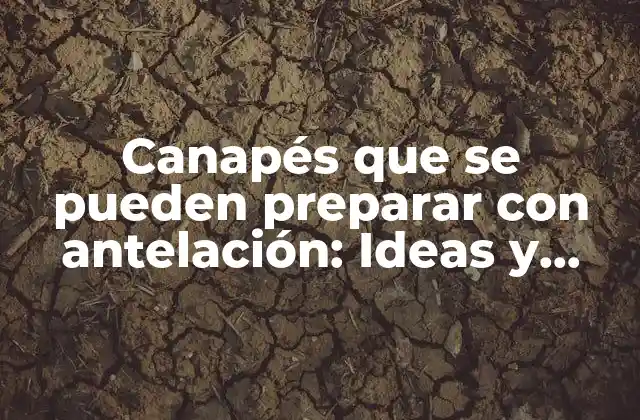 Canapés que Se Pueden Preparar con Antelación: Ideas y Recetas para Entertener con Éxito