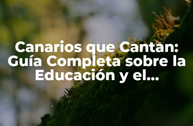 Canarios que Cantan: Guía Completa sobre la Educación y el Entrenamiento de los Canarios