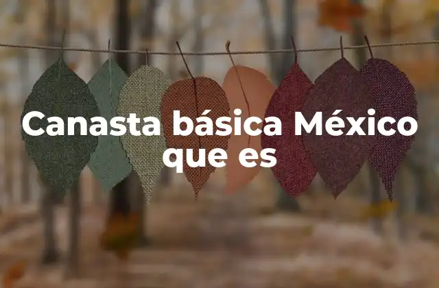 Canasta Básica México que es 2 El impacto de la canasta básica en la economía familiar