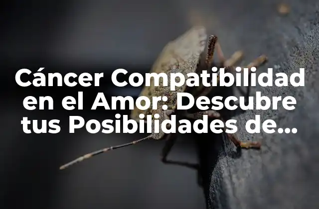 Cáncer Compatibilidad en el Amor: Descubre Tus Posibilidades de Éxito