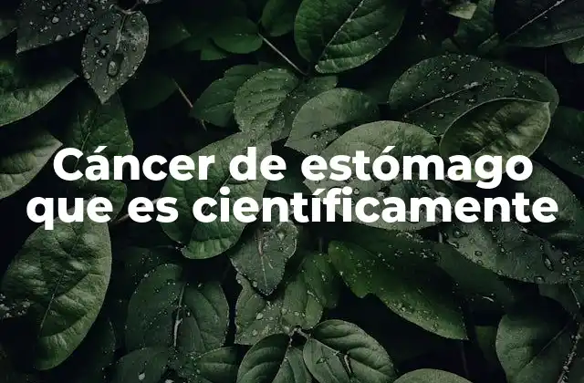 El papel de los factores de riesgo en el desarrollo del cáncer gástrico